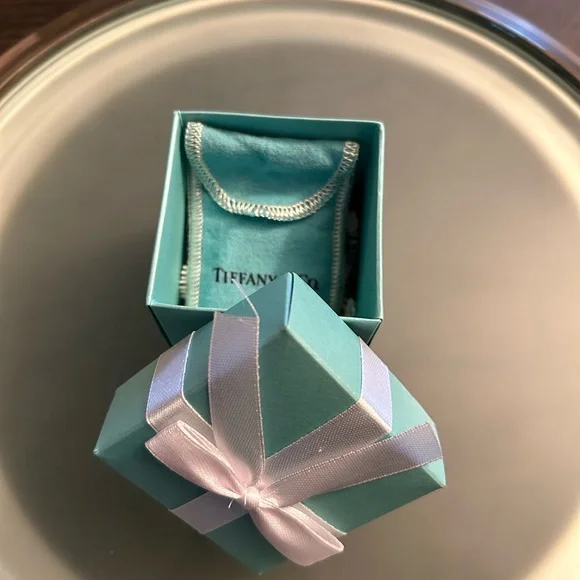 TIFFANY & CO. VENETIAN LINK STERLING SILVER BRACELET - Picture 8 of 8